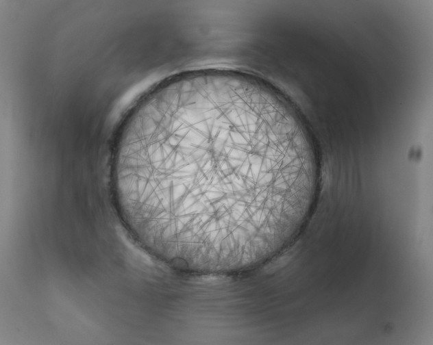 X0000111221406200907161240