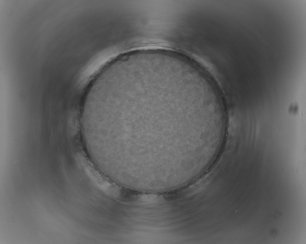 X0000111221407200907161240