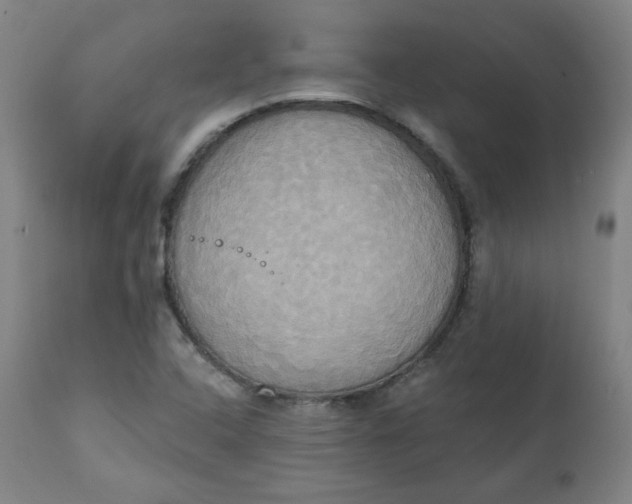 X0000111221408200907161240