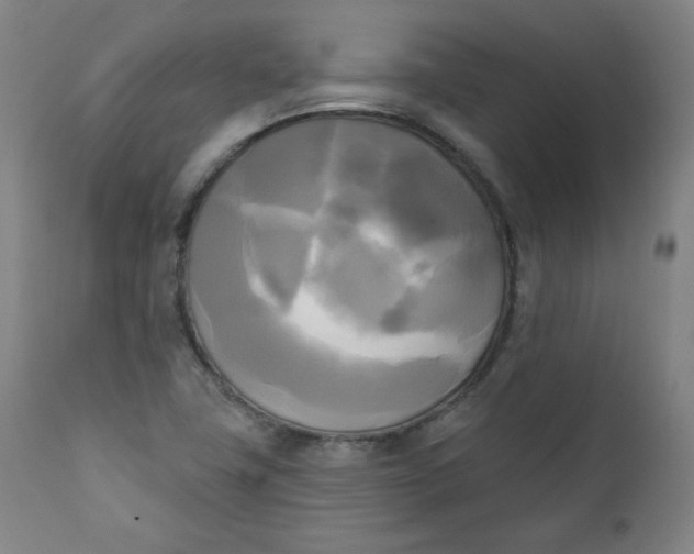 X0000111221411200907161240