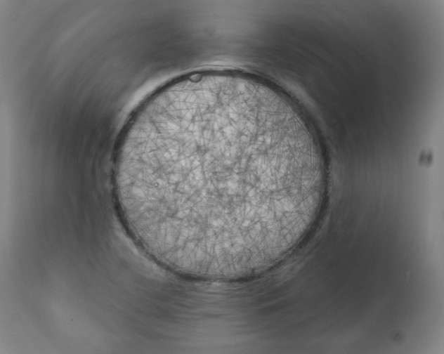 X0000111221412200907161240