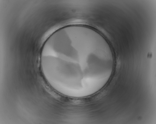 X0000111221413200907161240