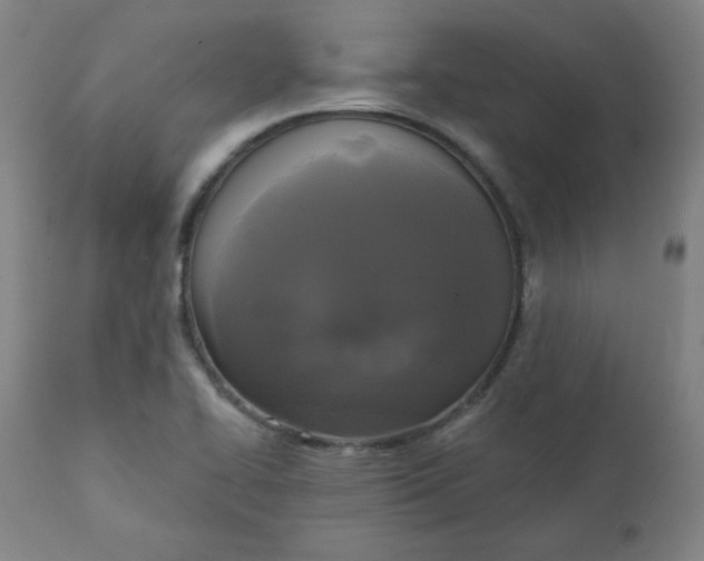 X0000111221414200907161240