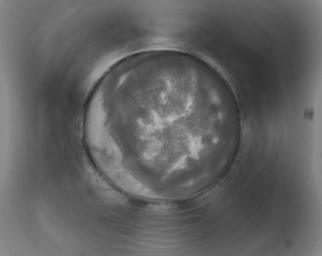 X0000111221415200907161240