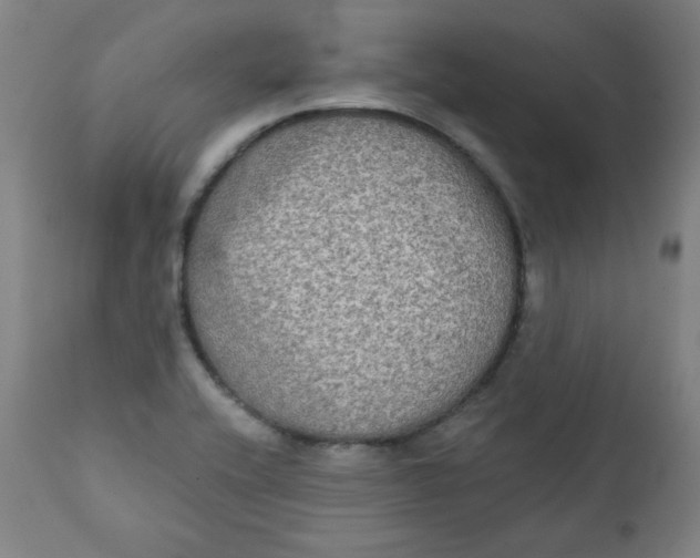 X0000111221416200907161240