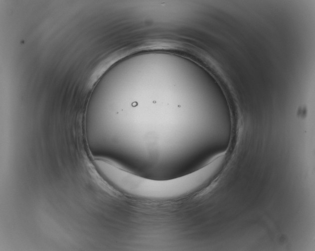 X0000111221417200907161240