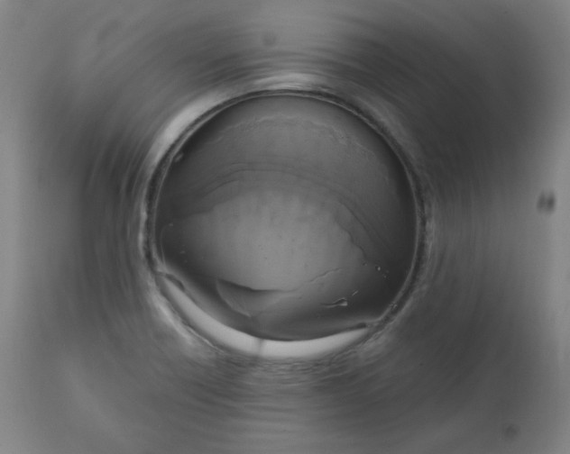 X0000111221418200907161240