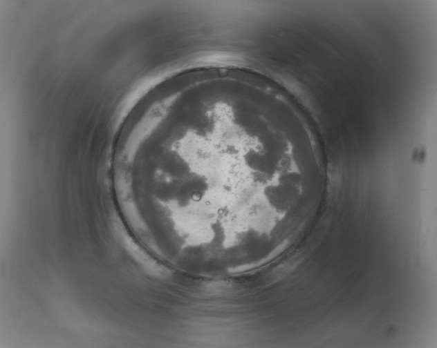 X0000111221421200907161240