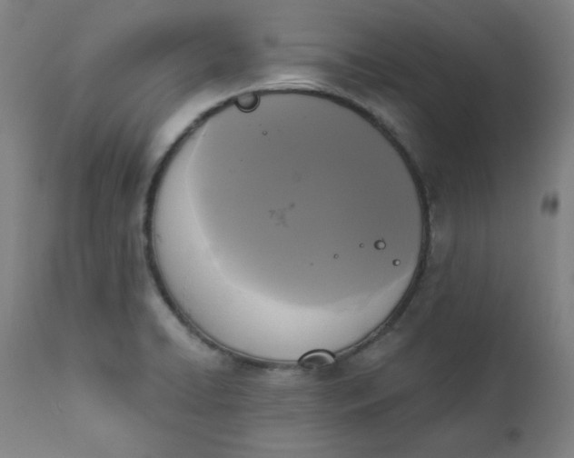 X0000111221422200907161240