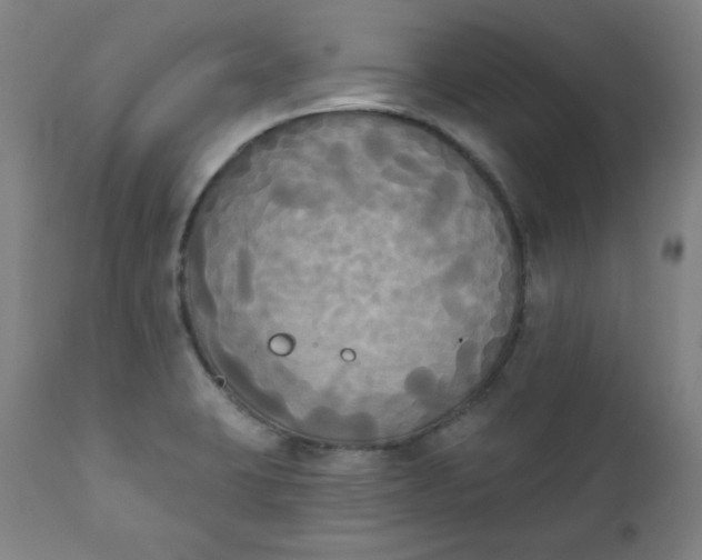 X0000111221423200907161240