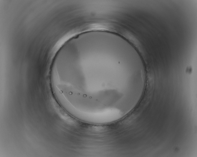 X0000111221427200907161240