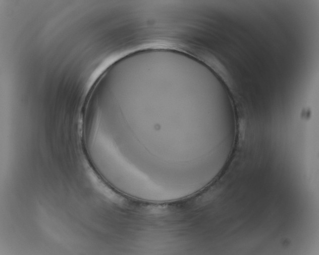 X0000111221428200907161240