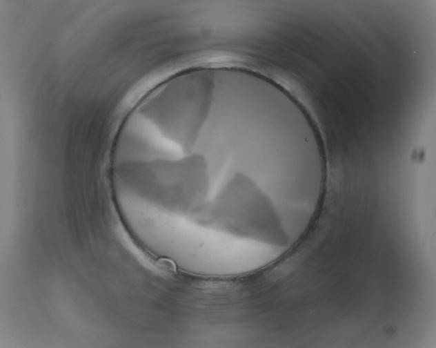 X0000111221429200907161240