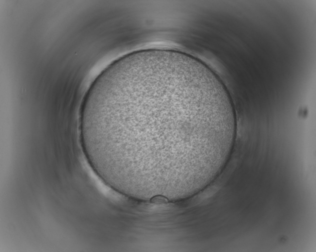 X0000111221430200907161240