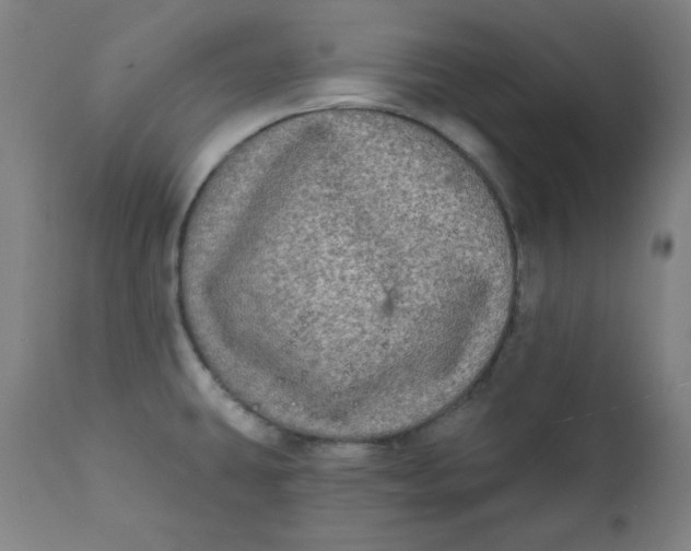 X0000111221431200907161240