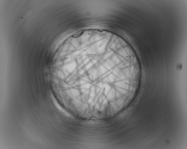 X0000111221433200907161240
