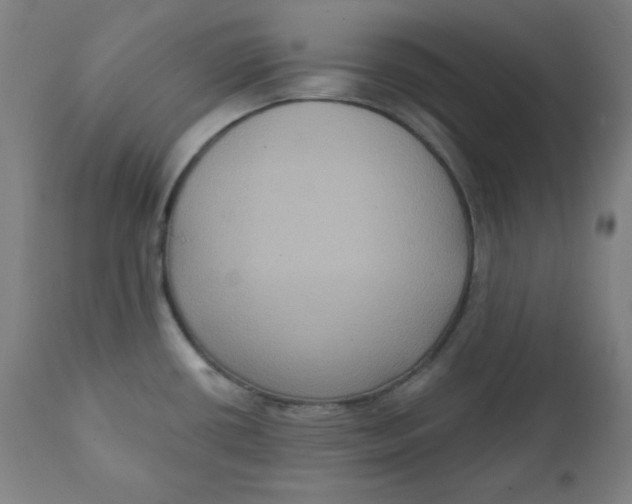 X0000111221434200907161240