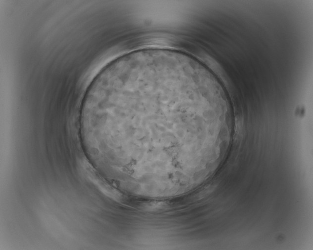 X0000111221435200907161240