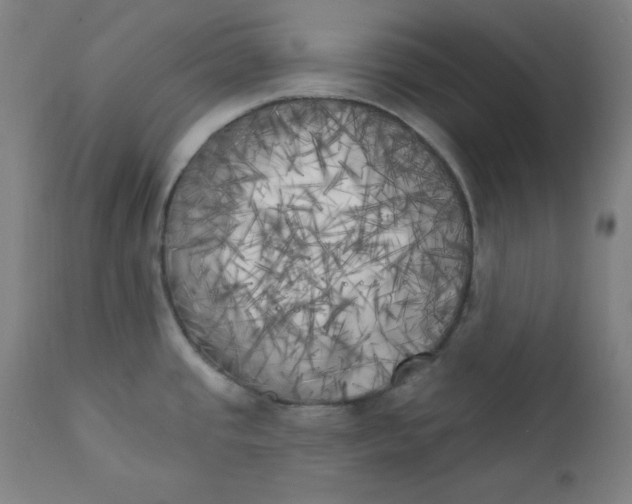 X0000111221437200907161240
