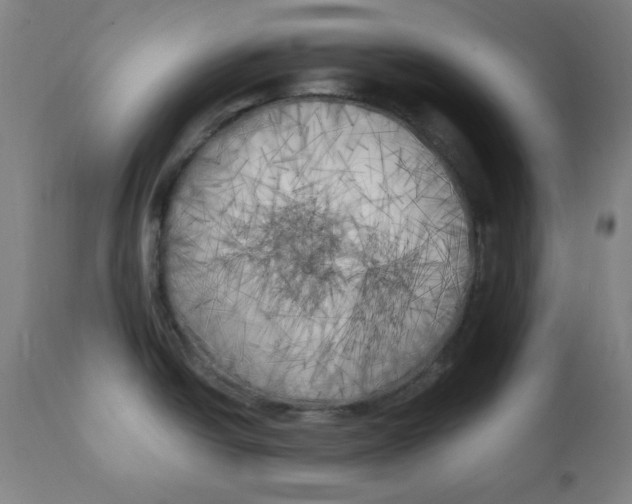 X0000111221438200907161240
