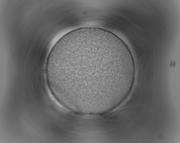 X0000111221440200907161240