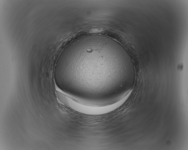 X0000111221441200907161240
