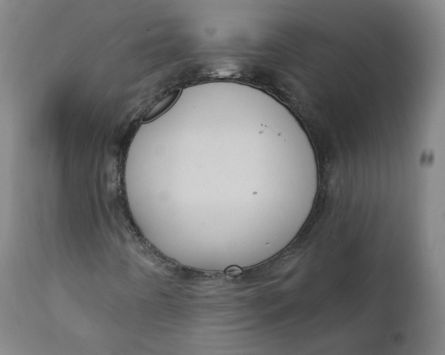 X0000111221442200907161240