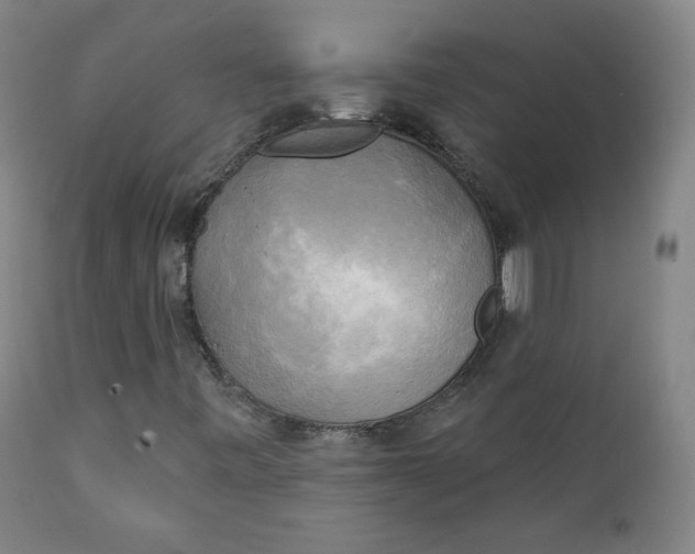 X0000111221443200907161240