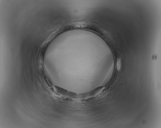 X0000111221444200907161240