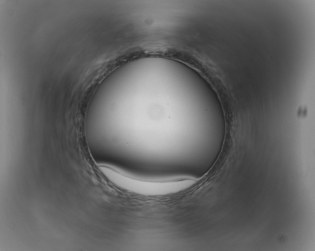 X0000111221445200907161240