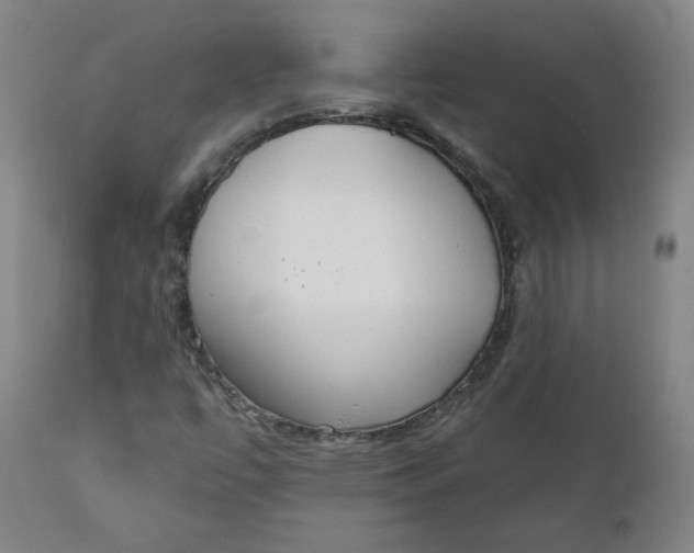 X0000111221447200907161240