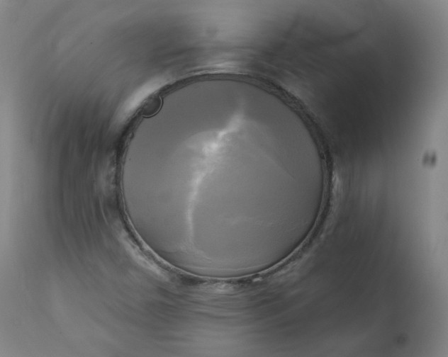 X0000111221450200907161239