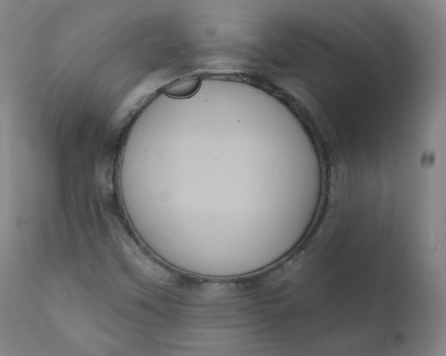 X0000111221451200907161239