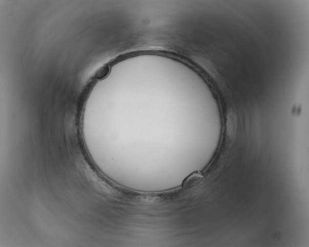 X0000111221452200907161239