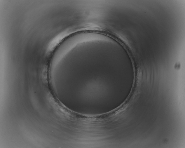 X0000111221455200907161239