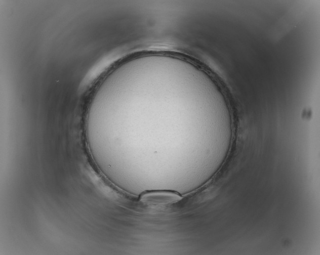 X0000111221456200907161239