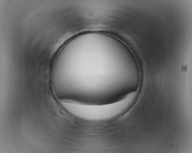 X0000111221457200907161239