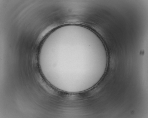 X0000111221458200907161239