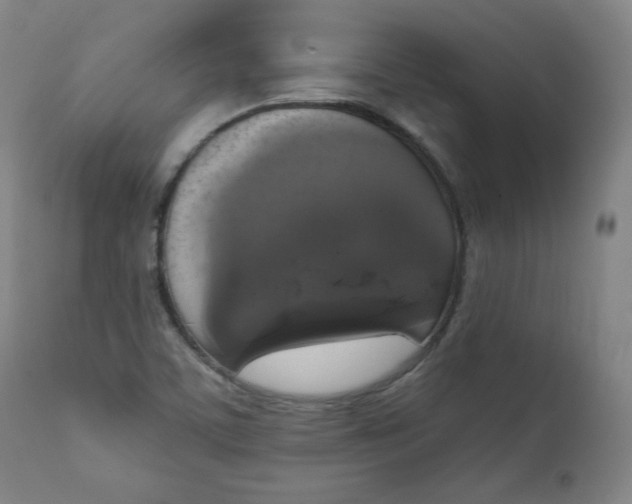 X0000111221459200907161239
