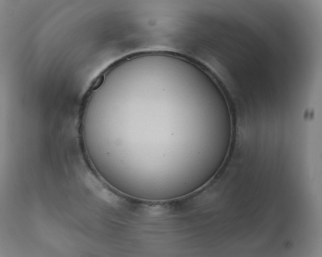 X0000111221460200907161239