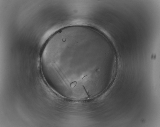 X0000111221461200907161239