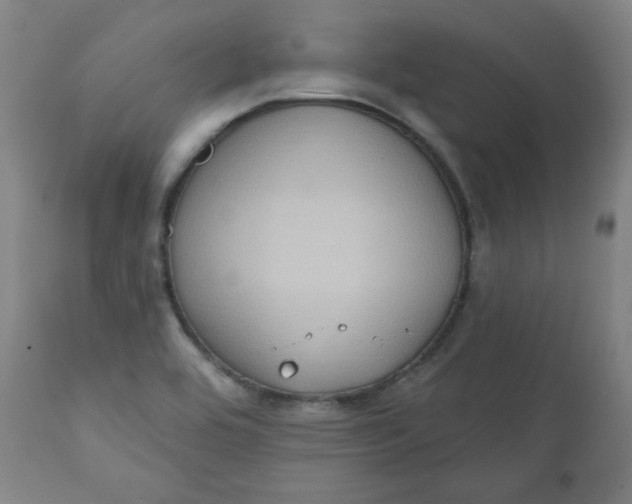 X0000111221464200907161239