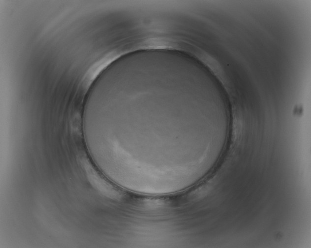 X0000111221465200907161239
