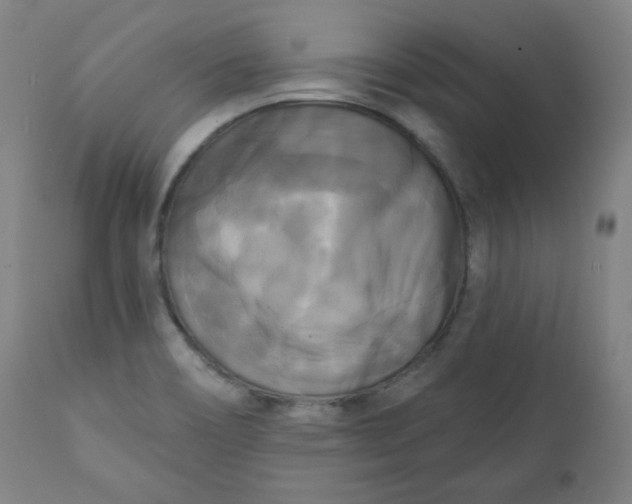 X0000111221466200907161239
