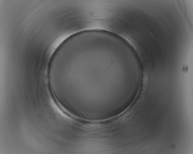X0000111221468200907161239