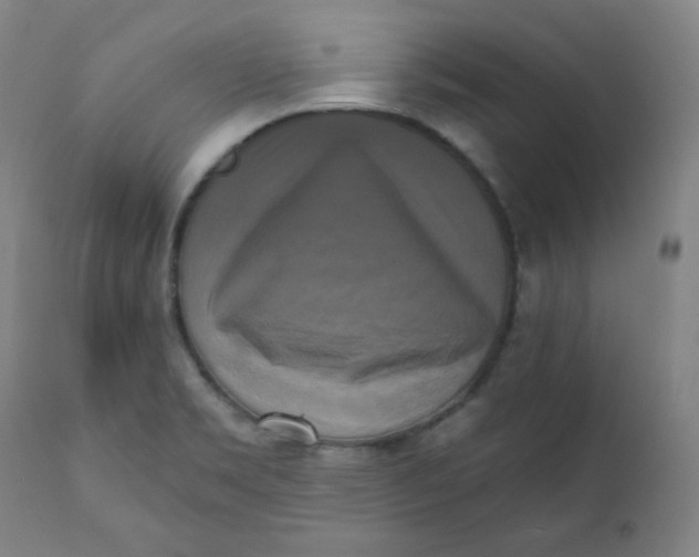 X0000111221469200907161239