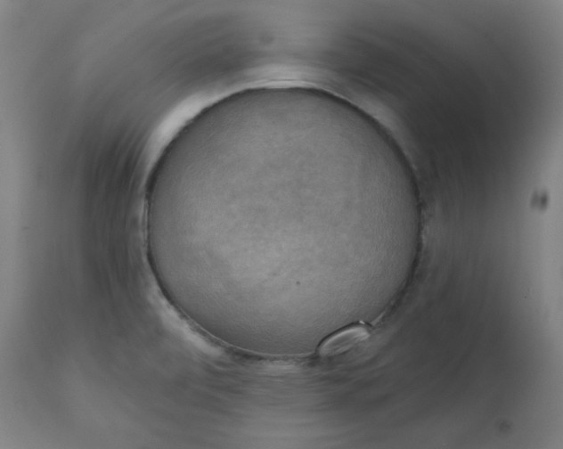 X0000111221472200907161239