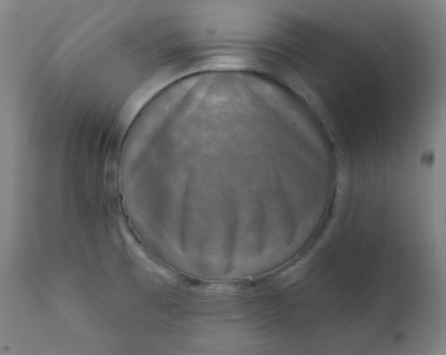 X0000111221473200907161239