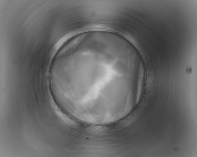 X0000111221474200907161239