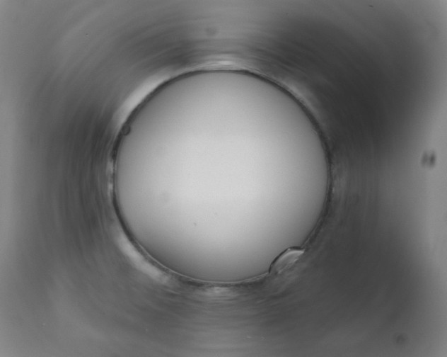 X0000111221476200907161239